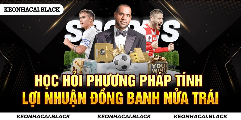 Học hỏi phương pháp tính lợi nhuận đồng banh nửa trái