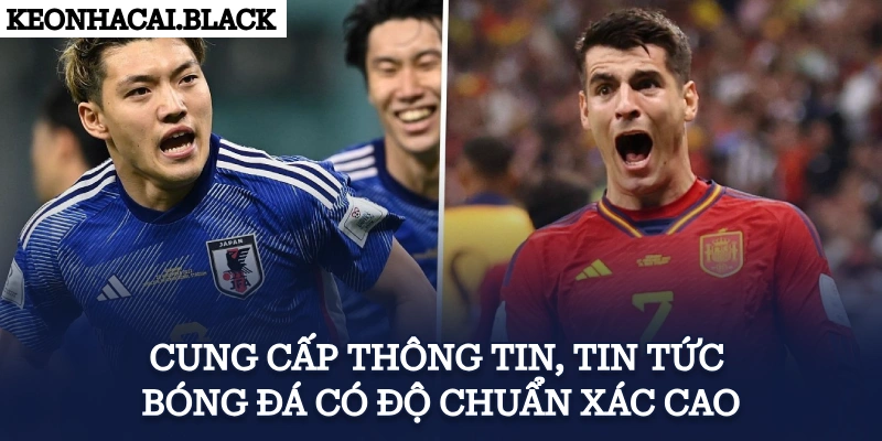 Cung cấp thông tin, tin tức bóng đá có độ chuẩn xác cao