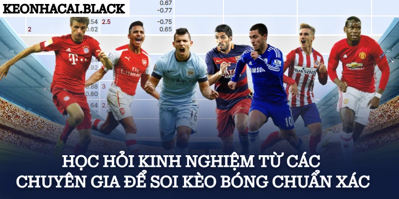 Học hỏi kinh nghiệm từ các chuyên gia để soi kèo bóng chuẩn xác