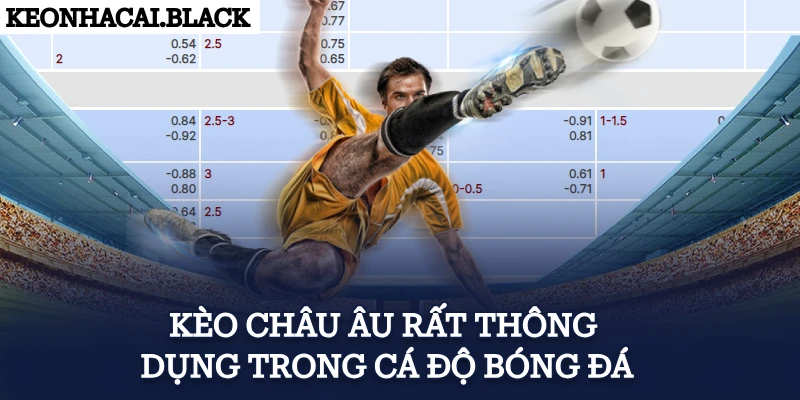 Kèo châu Âu rất thông dụng trong cá độ bóng đá