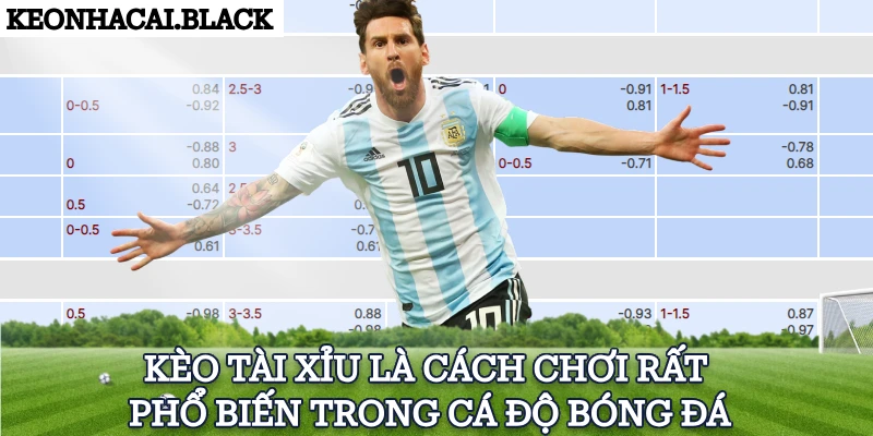 Kèo tài xỉu là cách chơi rất phổ biến trong cá độ bóng đá