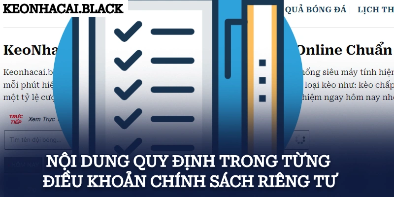 Nội dung quy định trong từng điều khoản chính sách riêng tư 