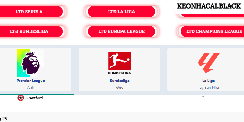 Tổng hợp những giải đấu được áp dụng soi kèo tại KEONHACAI